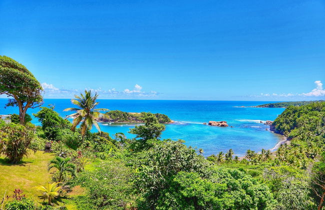 Blue Whale Villa - Photo 72