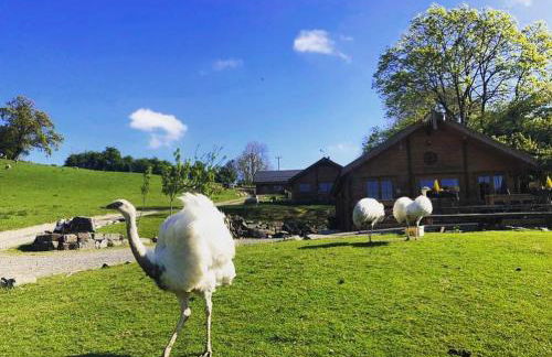 Blossom Cabin - Little log Cabin in Wales - Foto 28