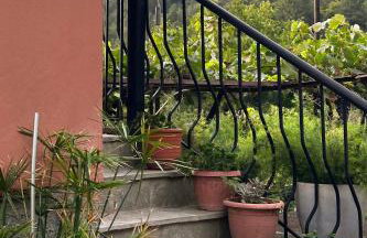 House by the Mountain - Photo 10