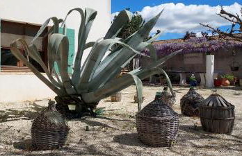 Mas de Plisset - Foto 41