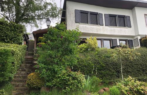 LE PETIT RENARD - Photo 6