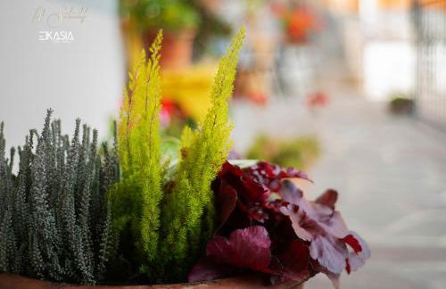 Al Soladif - Mansarda con vista - Foto 52