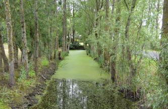 Camping La Loire Fleurie - Foto 27