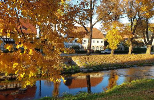 Auf-der-Muehlwiese - Foto 31
