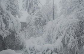 Three Little Birds Artists Residence - Foto 54