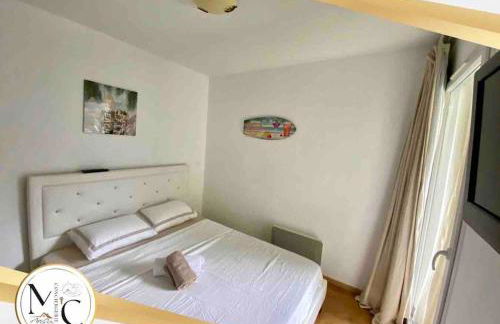 3 pièces la Foux d Allos vue montagne et station - Photo 8