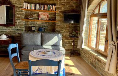 ΠΕΤΡΙΝΟ στην Άνδρο - Foto 17