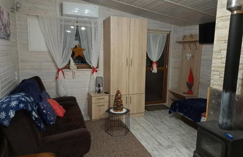 Domki Borowiackie nad brzegiem jeziora - Foto 25