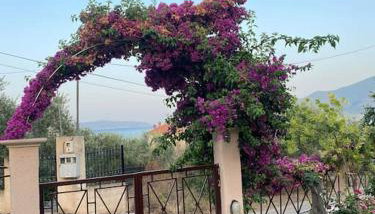 villa kastanos - Foto 3, Garden, Garden view