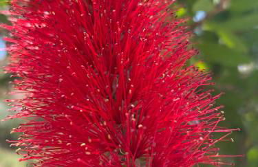 Hector's studios - Foto 16