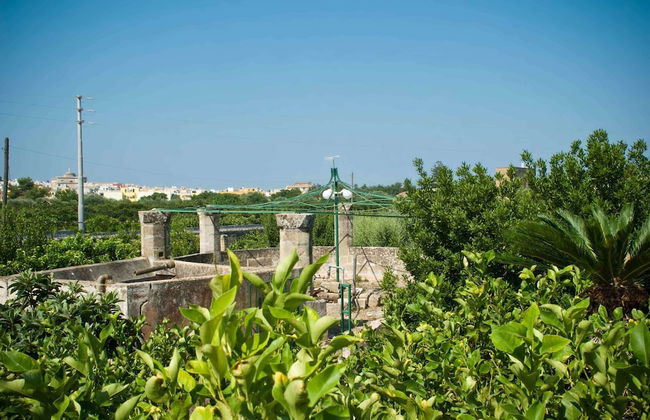 Azienda Agricola Francesca Stajano - Foto 76