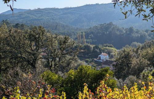 Casa do Valo - Foto 43