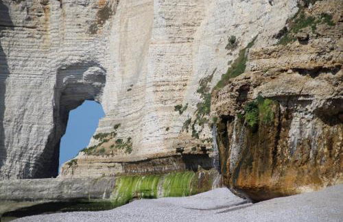 La lisette - Foto 39