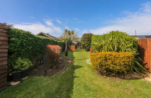 Bythynnod Newydd - Foto 21