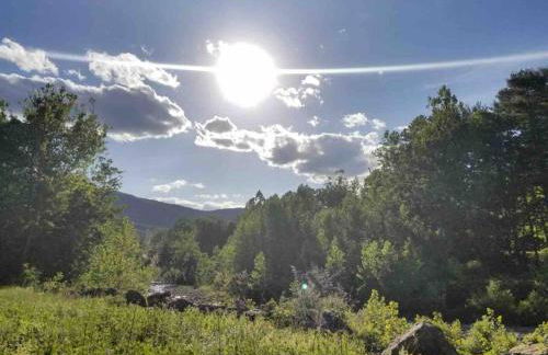 Catskills Hideaway Minutes from Hiking - Foto 19