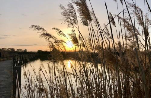 Appartement Yucca au calme proche de la mer - Foto 31