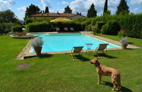 Dante Country House - Casa con Piscina Privata e Jacuzzi tra Firenze e Chianti - Foto 8