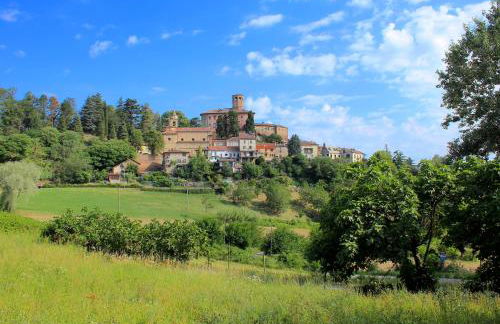 AMAZING LANGHE AND MONFERRATO | House with garden - Foto 37