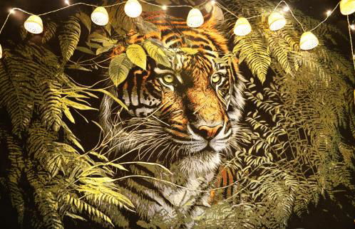 Jungle Spa - Cocon tropical et dépaysant avec balnéo en plein coeur de Pézenas ! - Foto 21