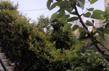 The house in nature SKG - Foto 25