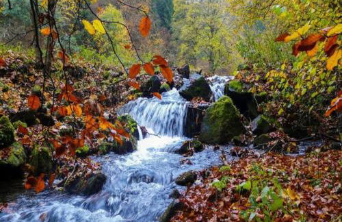 Small and Cozy Apartment in Frauenwald near Forest - Foto 74