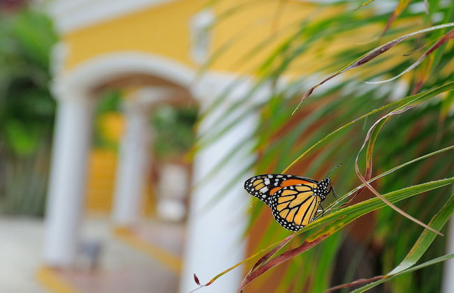 Djambo Apartments - Adults Only - Foto 54