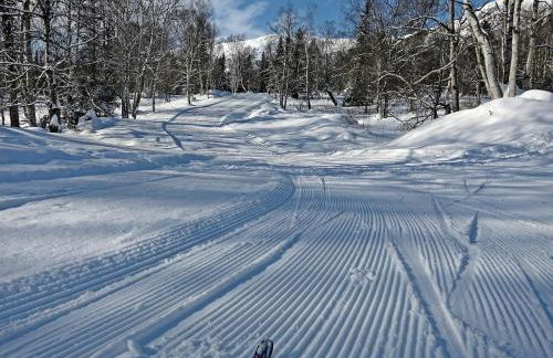 New-Game Room-Nearby Lake-Airport-Family-Bear Haus - Photo 25