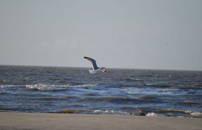 16 Bohler Brise Modern Retreat - Foto 12