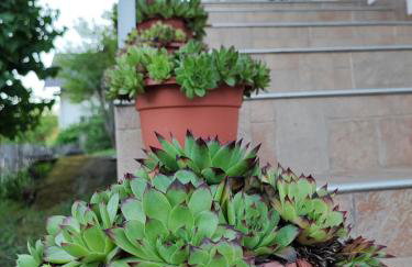 Apartman 1 RIBIČ - Foto 23