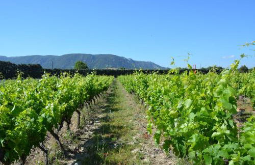 Domaine des Peyre - Foto 49