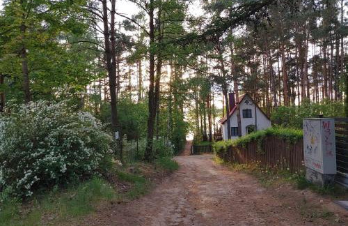 Domek w Borach Tucholskich - Wycinki - Foto 16