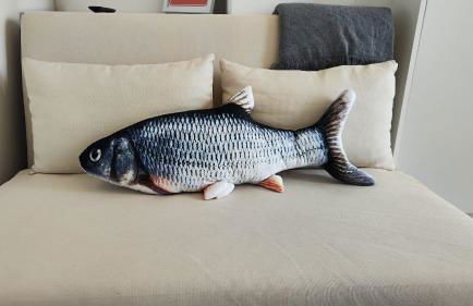 CariSan2 - fully equipped, 6 min to beach - Photo 50