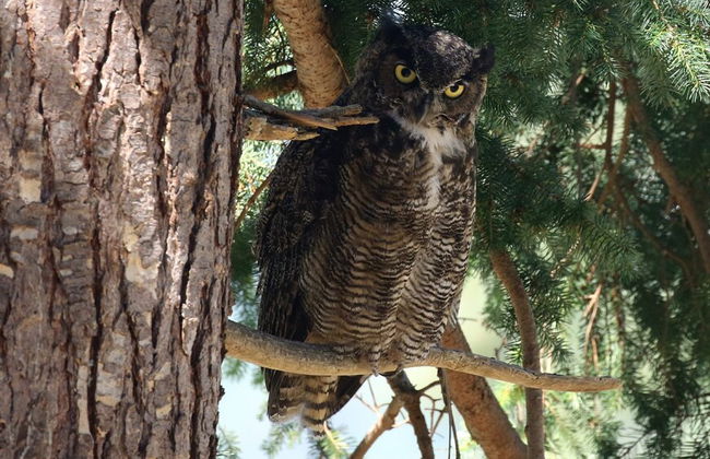 Crows Nest by Avantstay Accessible Home w/ Views - Foto 18