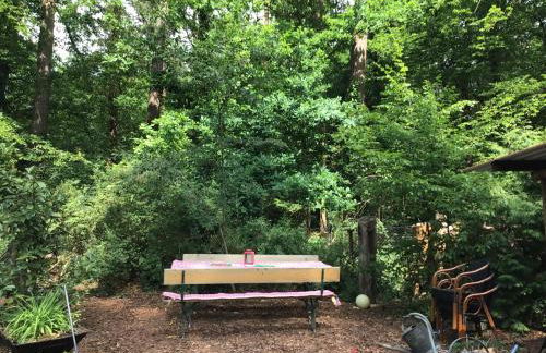 Welsh Dragon - Foto 27