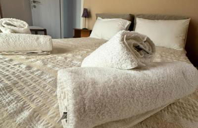 Classic apartment Meronas - Photo 10