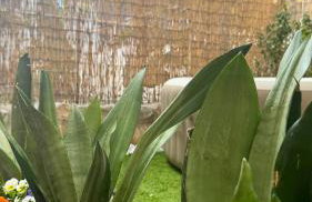 Duci Mondello Guesthouse - Foto 18