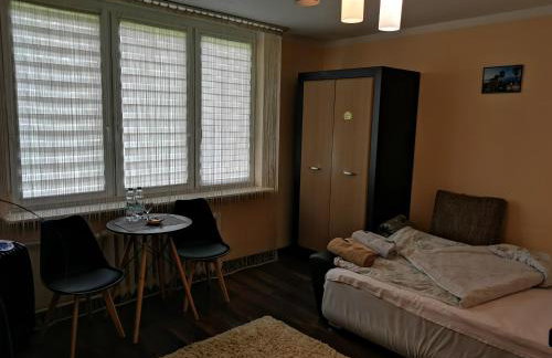 Aparatament PUŁAWY Centrum - Foto 2