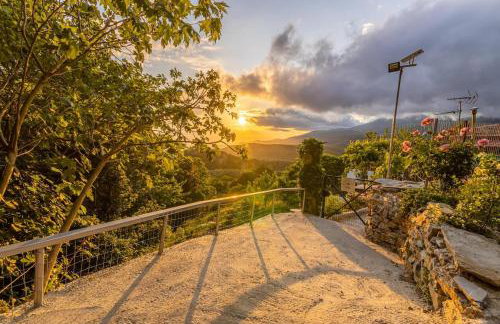 Zelis In Pelion Greece - Foto 50