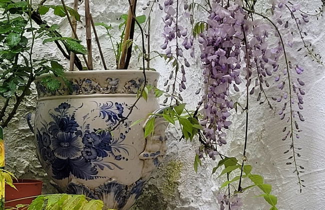 Red House by the River - Foto 27