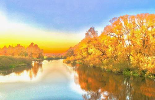 Rhein Romantik riverview - Foto 18