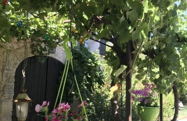 Oud Wijnhuis Mas - Foto 32