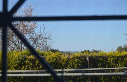 Quinta das Figueiras - Foto 24