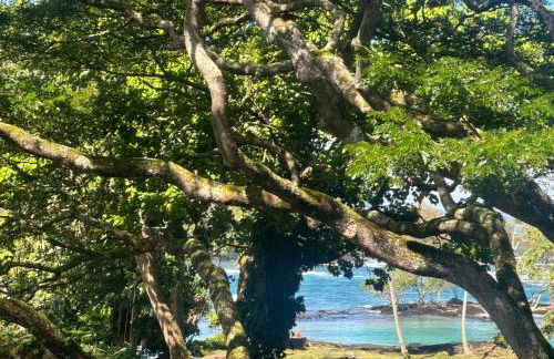 Ocean view Mauna Loa Shores Kai Ekahi #201 next to Carlsmith Beach Park Hilo HI - Foto 37