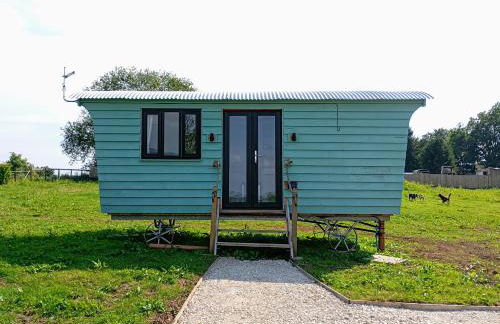 The Golden Fleece - Photo 6