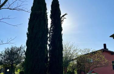 Agriturismo Valdo - Foto 27