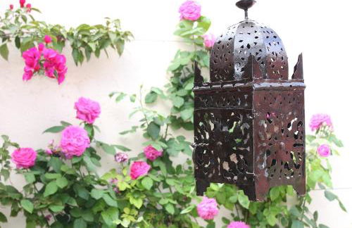 Finca Doña Sofia Maria - Foto 31