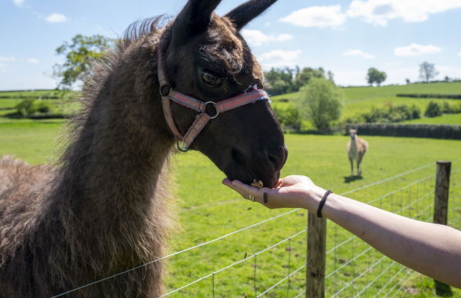 Little Underhill - Foto 15