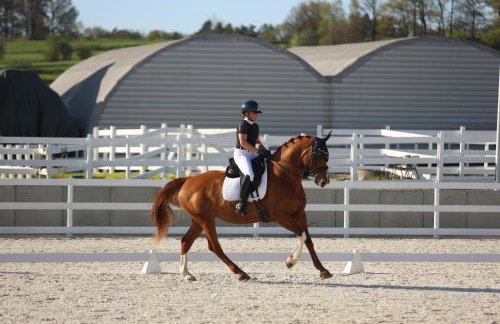 Agroturystyka Ranczo Gościszów - Foto 34