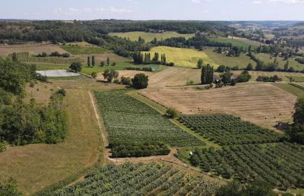 La Maison d'Onésiphore - Foto 13