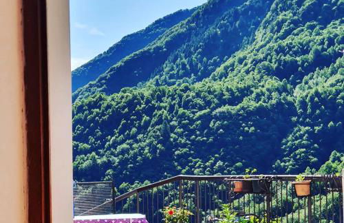 Coccinella House - Foto 13